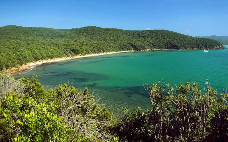 Cala Violina panoramica