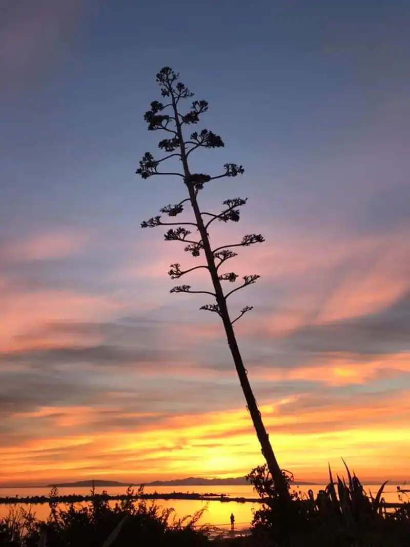 Tramonto invernale Follonica